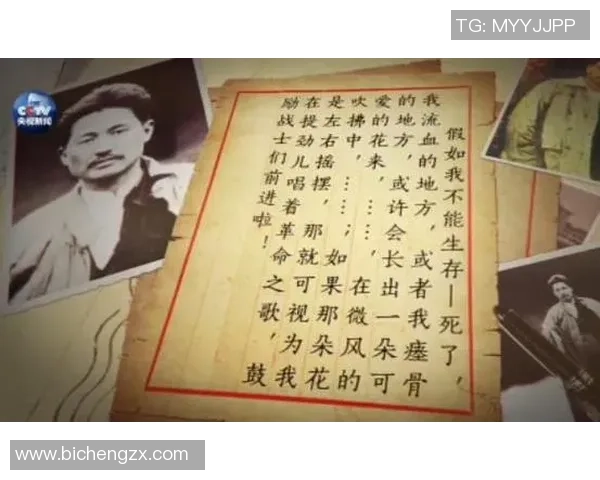 专访羽毛球女王杨娜揭秘她成功背后的秘密与奋斗历程