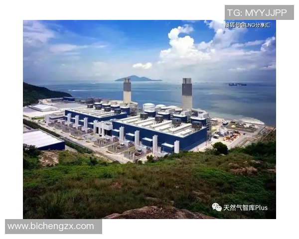 全球挑战赛分析LNG灵活性表现引发的市场变革与机遇探讨