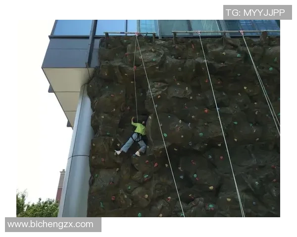 杭州攀岩队个人能力表现数据分析与提升策略探讨